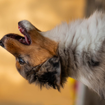 Darstellung des Puzzle Motivs Kleine Solei 200 Puzzle 3D Modell