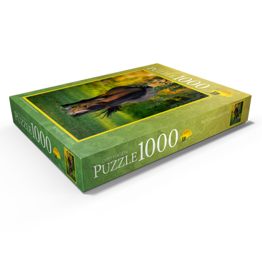 Darstellung des Puzzle Motivs Pony im Garten 1000 Puzzle Schachtel Ansicht1