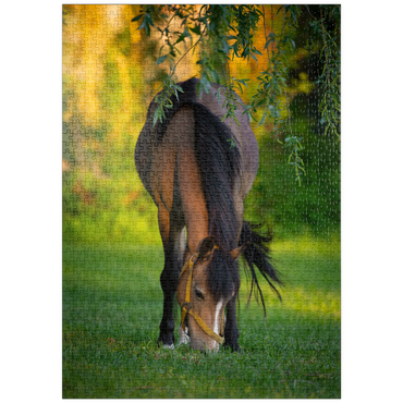 Darstellung des Puzzle Motivs puzzleplate Pony im Garten 1000 Puzzle