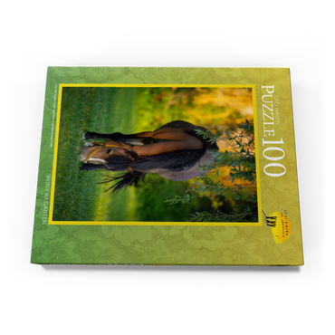 Darstellung des Puzzle Motivs Pony im Garten 100 Puzzle Schachtel Ansicht3