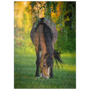 Darstellung des Puzzle Motivs puzzleplate Pony im Garten 200 Puzzle