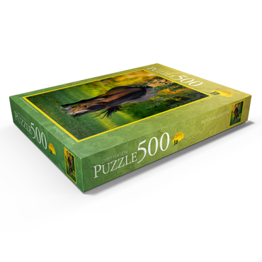 Darstellung des Puzzle Motivs Pony im Garten 500 Puzzle Schachtel Ansicht1