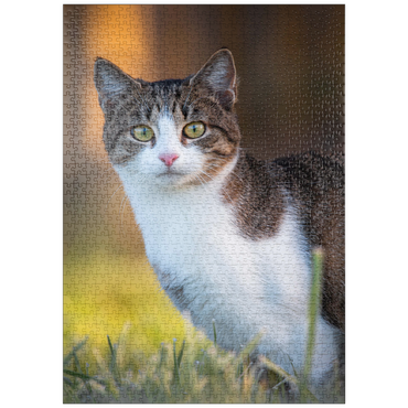 Darstellung des Puzzle Motivs puzzleplate Minka im Tau 1000 Puzzle