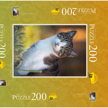 Darstellung des Puzzle Motivs Minka im Tau 200 Puzzle Schachtel 3D Modell