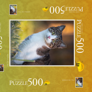 Darstellung des Puzzle Motivs Minka im Tau 500 Puzzle Schachtel 3D Modell