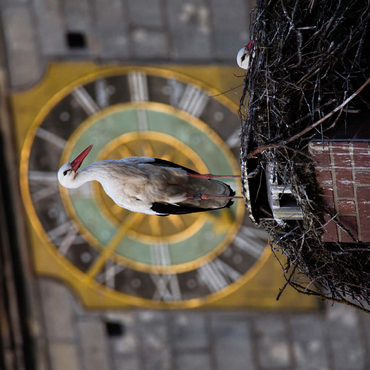 Darstellung des Puzzle Motivs 10 vor Storch 200 Puzzle 3D Modell