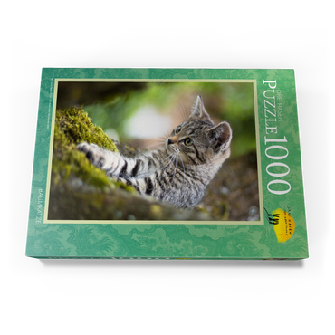 Darstellung des Puzzle Motivs Baumkatze 1000 Puzzle Schachtel Ansicht3