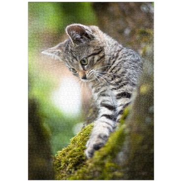 Darstellung des Puzzle Motivs puzzleplate Baumkatze 1000 Puzzle