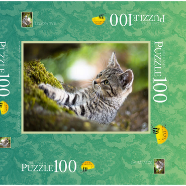 Darstellung des Puzzle Motivs Baumkatze 100 Puzzle Schachtel 3D Modell