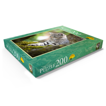 Darstellung des Puzzle Motivs Baumkatze 200 Puzzle Schachtel Ansicht1