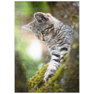 Darstellung des Puzzle Motivs puzzleplate Baumkatze 200 Puzzle