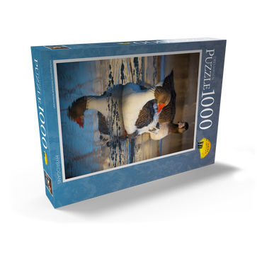 Darstellung des Puzzle Motivs Hybridgans 1000 Puzzle Schachtel Ansicht2