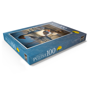 Darstellung des Puzzle Motivs Hybridgans 100 Puzzle Schachtel Ansicht1
