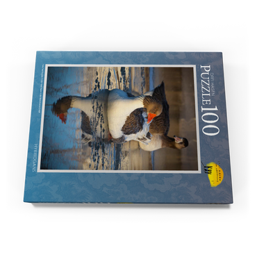 Darstellung des Puzzle Motivs Hybridgans 100 Puzzle Schachtel Ansicht3