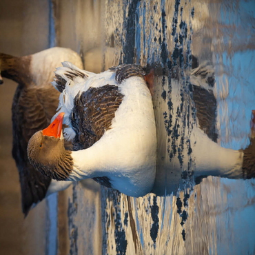 Darstellung des Puzzle Motivs Hybridgans 100 Puzzle 3D Modell