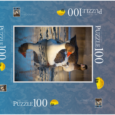 Darstellung des Puzzle Motivs Hybridgans 100 Puzzle Schachtel 3D Modell