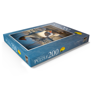 Darstellung des Puzzle Motivs Hybridgans 200 Puzzle Schachtel Ansicht1