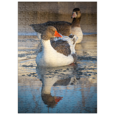 Darstellung des Puzzle Motivs puzzleplate Hybridgans 200 Puzzle