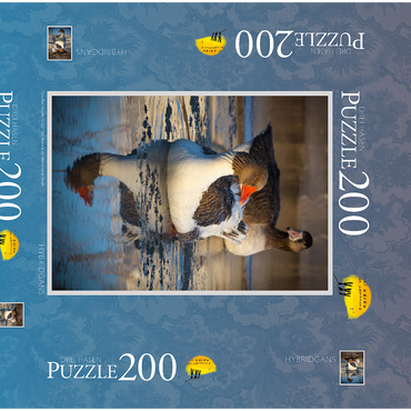 Darstellung des Puzzle Motivs Hybridgans 200 Puzzle Schachtel 3D Modell