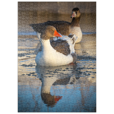 Darstellung des Puzzle Motivs puzzleplate Hybridgans 500 Puzzle