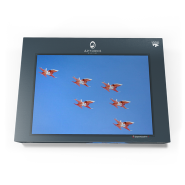 Darstellung des Puzzle Motivs Swiss Patrol, Northrop F-5E Tiger II 1000 Puzzle Schachtel Ansicht3