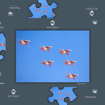 Darstellung des Puzzle Motivs Swiss Patrol, Northrop F-5E Tiger II 1000 Puzzle Schachtel 3D Modell