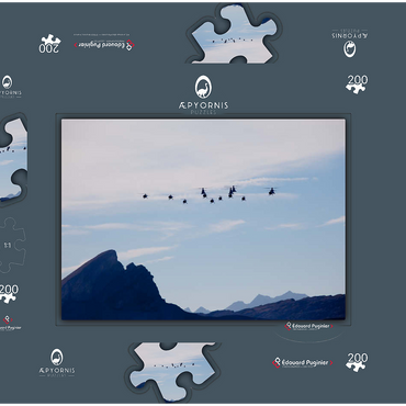 Darstellung des Puzzle Motivs Aérospatiale SA316B Alouette III, Eurocopter AS332M1 Super Puma, Eurocopter AS532UL Cougar 200 Puzzle Schachtel 3D Modell