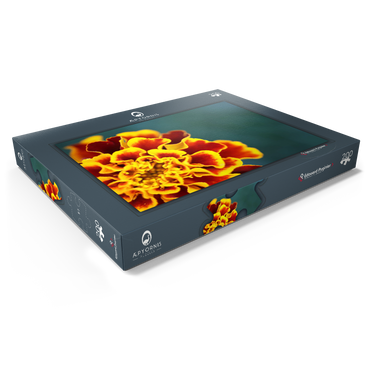 Darstellung des Puzzle Motivs Marigold / Tagetes patula 200 Puzzle Schachtel Ansicht1