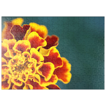 Darstellung des Puzzle Motivs puzzleplate Marigold / Tagetes patula 200 Puzzle