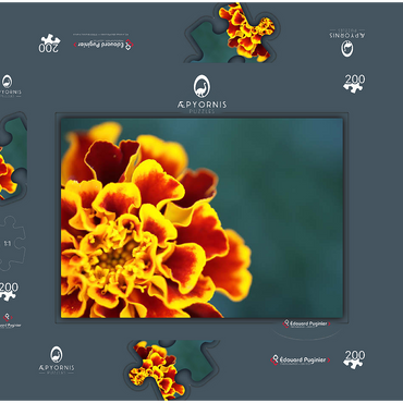 Darstellung des Puzzle Motivs Marigold / Tagetes patula 200 Puzzle Schachtel 3D Modell
