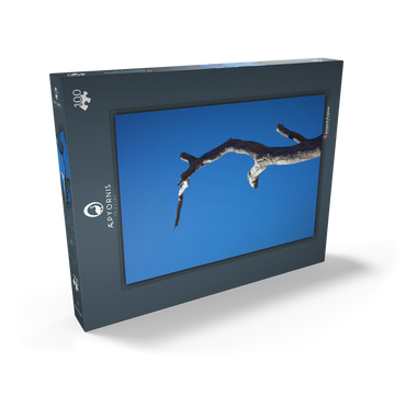 Darstellung des Puzzle Motivs Trunk & Sky 100 Puzzle Schachtel Ansicht2