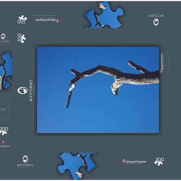 Darstellung des Puzzle Motivs Trunk & Sky 100 Puzzle Schachtel 3D Modell