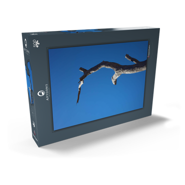 Darstellung des Puzzle Motivs Trunk & Sky 500 Puzzle Schachtel Ansicht2