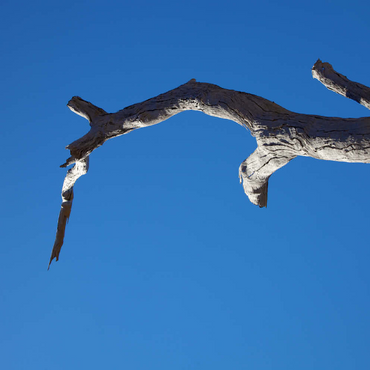 Darstellung des Puzzle Motivs Trunk & Sky 500 Puzzle 3D Modell