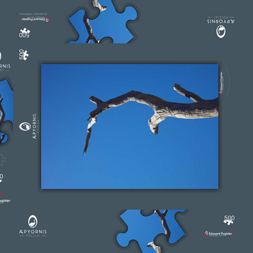 Darstellung des Puzzle Motivs Trunk & Sky 500 Puzzle Schachtel 3D Modell