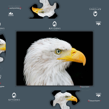 Darstellung des Puzzle Motivs Bald Eagle 1000 Puzzle Schachtel 3D Modell