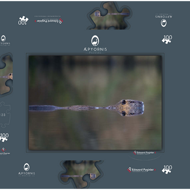 Darstellung des Puzzle Motivs Coypu 100 Puzzle Schachtel 3D Modell