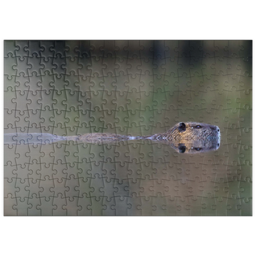 Darstellung des Puzzle Motivs puzzleplate Coypu 200 Puzzle