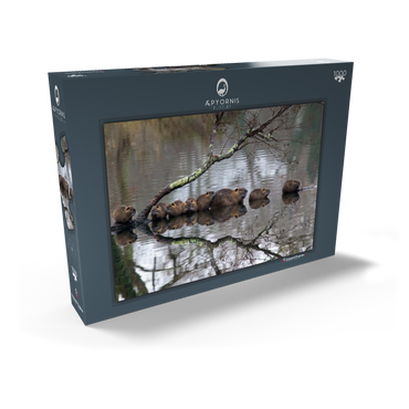 Darstellung des Puzzle Motivs Coypu Family 1000 Puzzle Schachtel Ansicht2