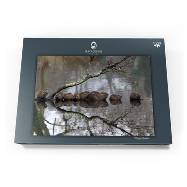 Darstellung des Puzzle Motivs Coypu Family 1000 Puzzle Schachtel Ansicht3