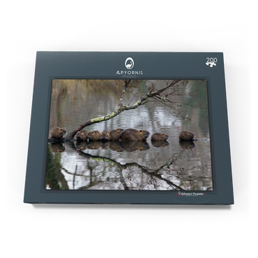 Darstellung des Puzzle Motivs Coypu Family 200 Puzzle Schachtel Ansicht3