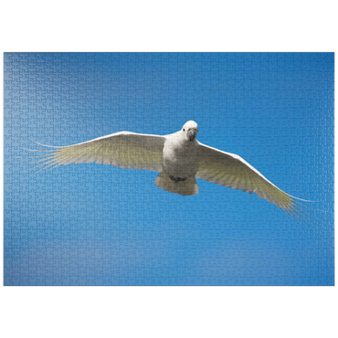 Darstellung des Puzzle Motivs puzzleplate Sulphur-crested Cockatoo 1000 Puzzle