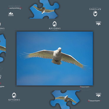 Darstellung des Puzzle Motivs Sulphur-crested Cockatoo 1000 Puzzle Schachtel 3D Modell