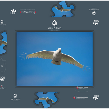 Darstellung des Puzzle Motivs Sulphur-crested Cockatoo 100 Puzzle Schachtel 3D Modell