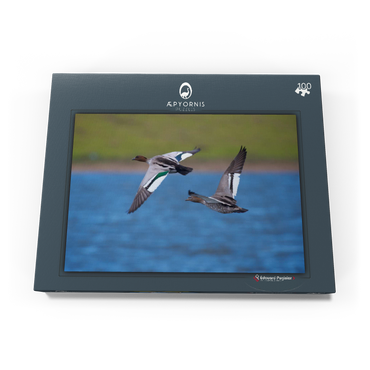 Darstellung des Puzzle Motivs Australian Wood Duck 100 Puzzle Schachtel Ansicht3