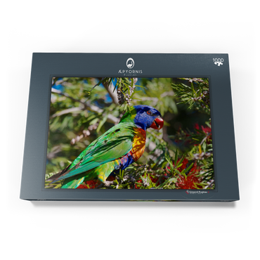 Darstellung des Puzzle Motivs Rainbow Lorikeet 1000 Puzzle Schachtel Ansicht3