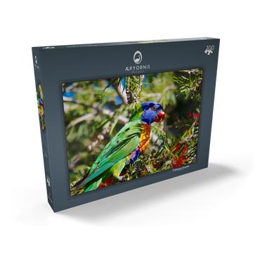 Darstellung des Puzzle Motivs Rainbow Lorikeet 100 Puzzle Schachtel Ansicht2