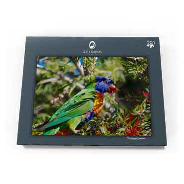 Darstellung des Puzzle Motivs Rainbow Lorikeet 200 Puzzle Schachtel Ansicht3