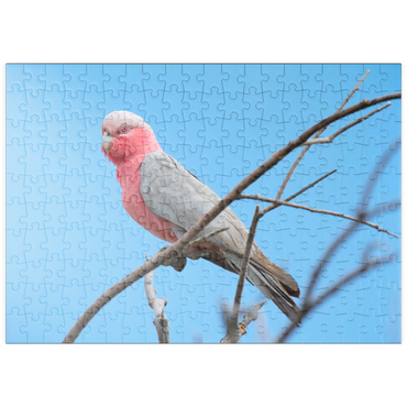 Darstellung des Puzzle Motivs puzzleplate Galah 200 Puzzle