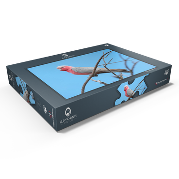 Darstellung des Puzzle Motivs Galah 500 Puzzle Schachtel Ansicht1